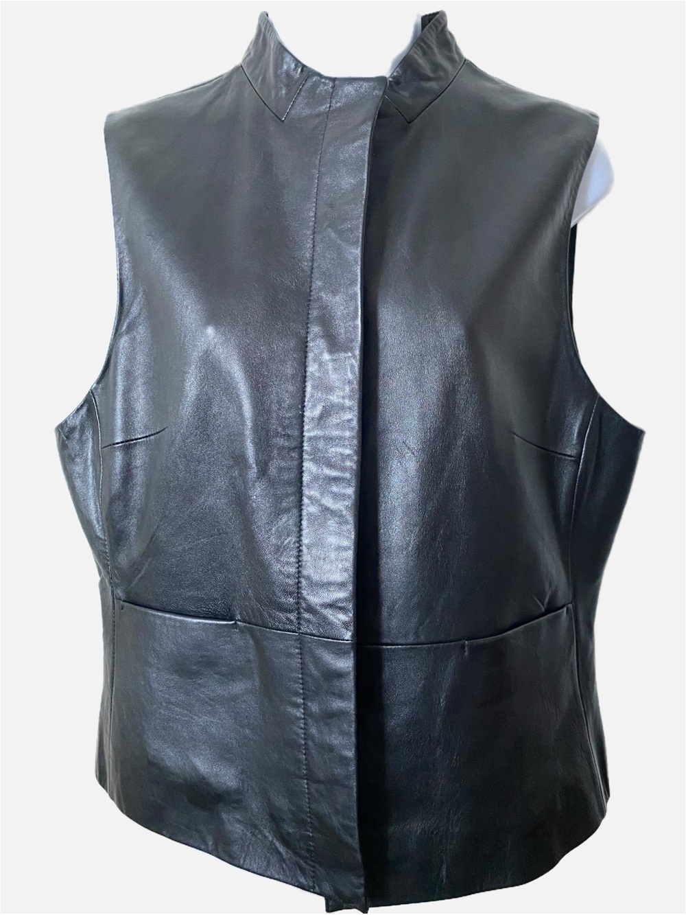 Minimalist Leather Vest Cold Water Creek Collar Lined Button Closure Pockets